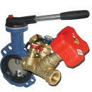 Isolating and balancing valves