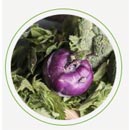 Individual detox program