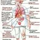 Форевър Ф.И.Т.