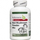 BEST MUSHROOM POWDER MIX